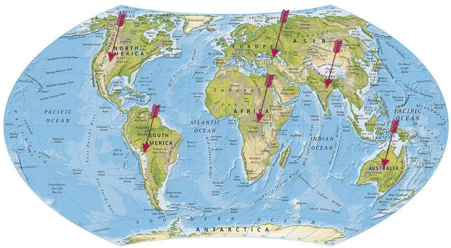 ABUIABACGAAgqK_91QUoy8fA-AIwggc47gM